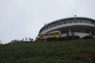 Take the bus and tour around the farm if you are tired.