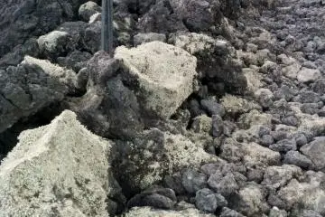 <p>Some evidence of moss growth</p>