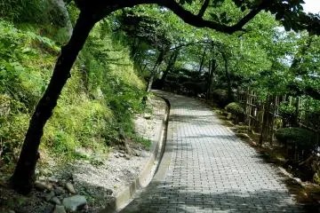 <p>Untuk mencapai kastil di puncak bukit, JapanTravel harus menaiki tanjakan ringan beraspal dengan pepohonan di kedua sisinya.</p>