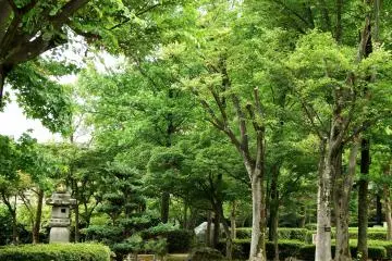청청 한 녹색