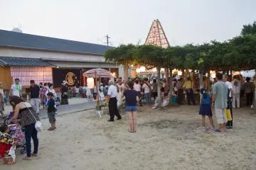 <p>The wisteria tree, stage, and lantern tower</p>