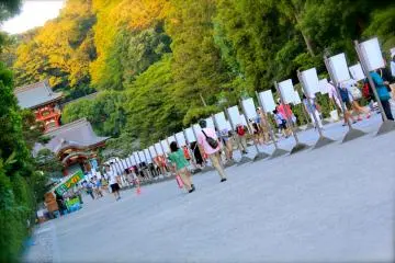 <p>Various pictures and examples of calligraphy offered to Tsurugaoka Hachimangu are made into shades for the lanterns.</p>