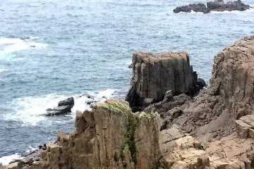 <p>Jagged landscape of Tojinbo Cliffs</p>