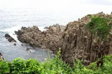 <p>Yet it thrives with green lives</p>