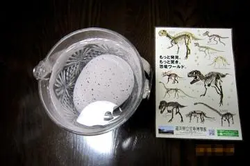 DAY 1: Dinosaur Egg bought at the souvenir shop of Fukui Dinosaur Museum. The instruction says I should put the egg into water and wait...