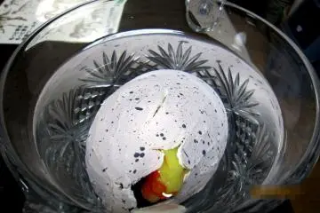 DAY 3: Well, I can see that it is yellow and red...Wow!