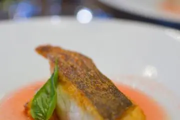 <p>Japanese Sea Bass that&nbsp;was cooked to perfection and served on a chilled plate with delicious salad</p>
