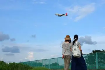 <p>Plane-watching</p>