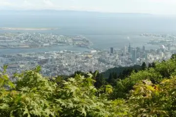 <p>Kobe side</p>