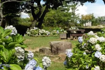 <p>A lovely place to have a break</p>