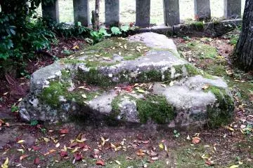 Here! This is the stone Rennyo sat on...Really?
