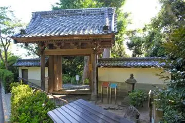 Gallery image
