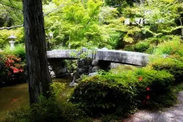The bridge stands on solid looking pillars