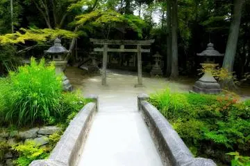 <p>Looking back across the bridge to the stone torii</p>