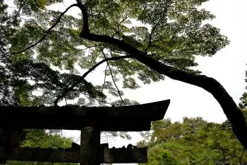 <p>Visitors have placed small rocks on the horizontal posts of the torii</p>