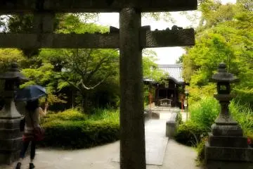 Bentendo nestled among the lush greenery of early summer