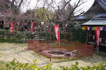<p>Fire pit protected by an iron fence</p>