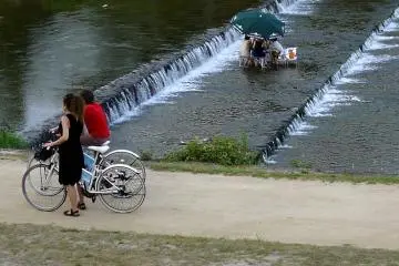 <p>It seems some folk prefer to dine right in the river!</p>