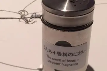The smell of feces mixed with pleasant fragrances