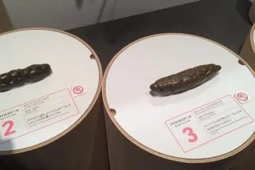 The types of feces