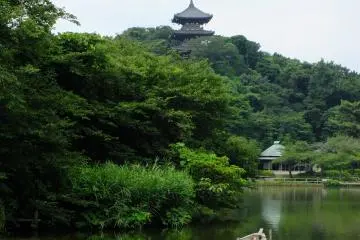 <p>Another pond&nbsp;at the wonderful&nbsp;Sankei-en Garden, Yokohama</p>