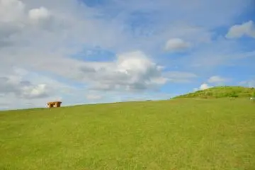 <p>One of the few benches at&nbsp;Mount Wakakusa.</p>