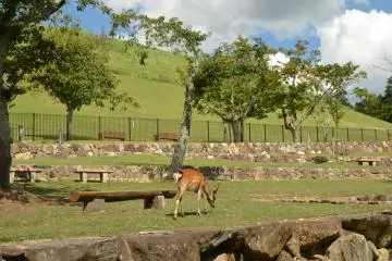 <p>Exterior of the fenced Mount&nbsp;Wakakusa</p>