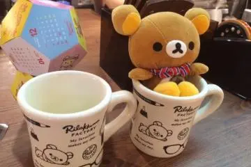 <p>The merchandise</p>