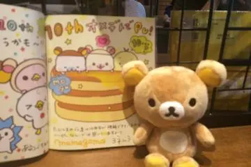 <p>A Rilakkuma book</p>