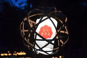 <p>Nara Tokae</p>
