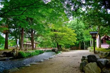 Nara-no-ogawa&nbsp;stream