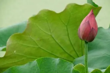 <p>Hello beauty!</p>