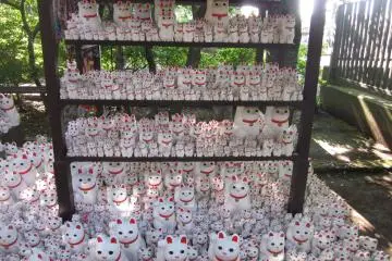 <p>At least 1,000 identical&nbsp;maneki neko statues are placed closely together, making this shrine definitely suitable for cat lovers.</p>
