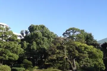<p>Taman Yasuda</p>