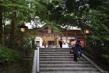 <p>Front steps toward the shrine's main&nbsp;building surrounded by&nbsp;greenery</p>