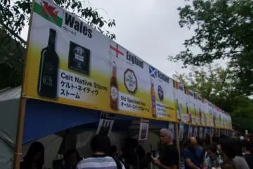 <p>International beers</p>