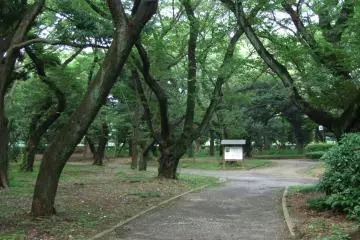<p>A popular place for runners</p>