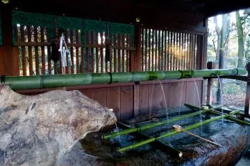 <p>Water flowing from a bamboo pipe</p>