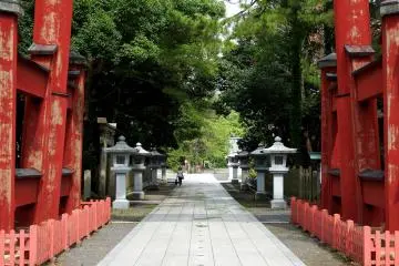Gallery image