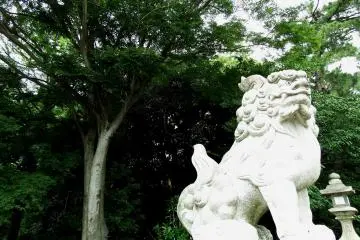 푸른 나무가 있는 수호 사자의 석상