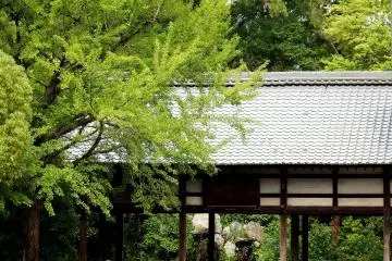 숲 속의 '에마도' 뒤쪽에 일본식 정원이 있다