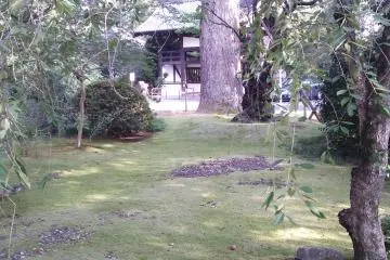 <p>Some feature gardens, as crafted as any sculpture</p>