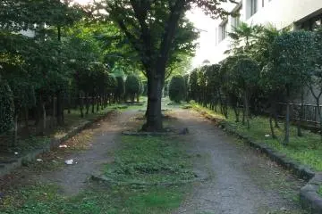 <p>Running behind some of the temples is a green walkway, which is shady and peaceful</p>