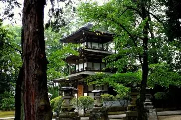 <p>Trees are spaced all through the grounds creating many beautiful views</p>