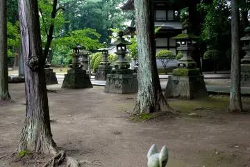 <p>A fox statue seems to be&nbsp; waiting for someone or something</p>