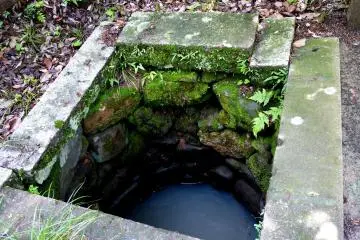 <p>A shallow but old-looking well</p>