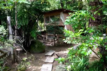 <p>You will probably hear a rooster crowing as you walk around the shrine, and here it is!</p>