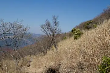 <p>Hardly any green at that time of the year, but the birds were singing!</p>