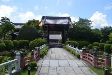 Gallery image