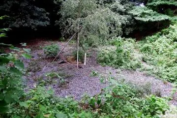 <p>What?! Is this the place where the castle once stood?</p>